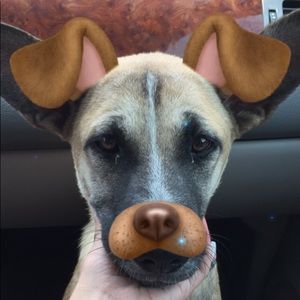 Meet your Posher, Madison